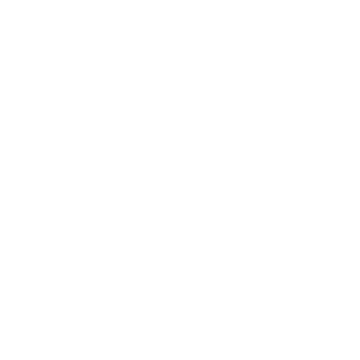 Icon of Professional Installation Service