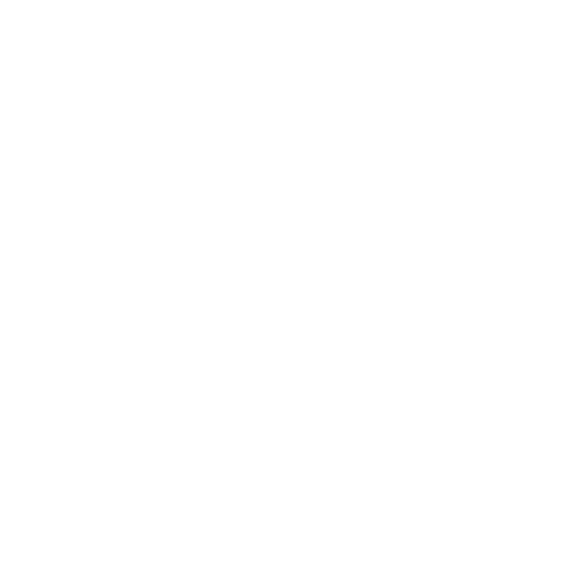 Icon of Professional Installation Service